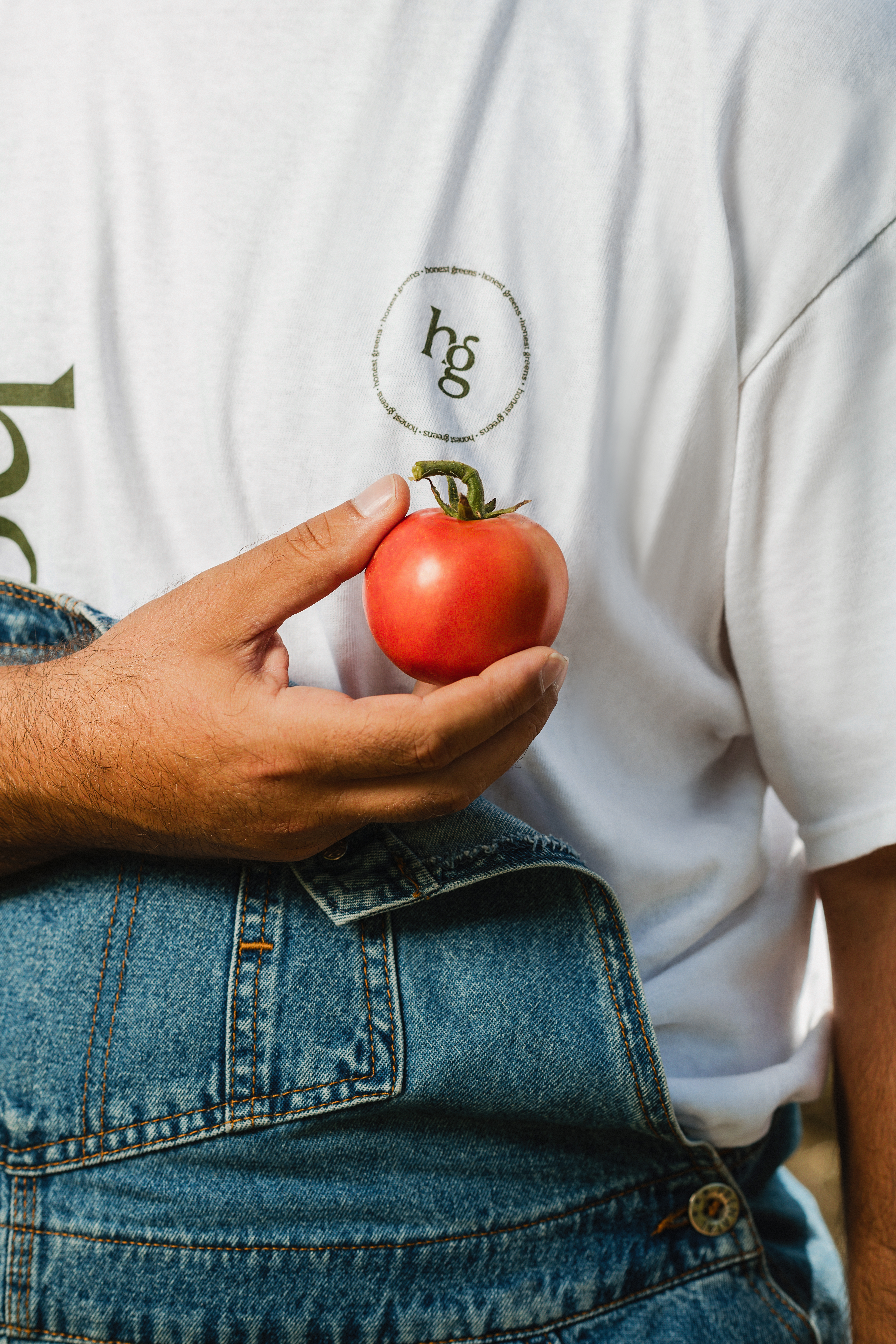 A Simple Guide to Healthy Living & Macronutrients